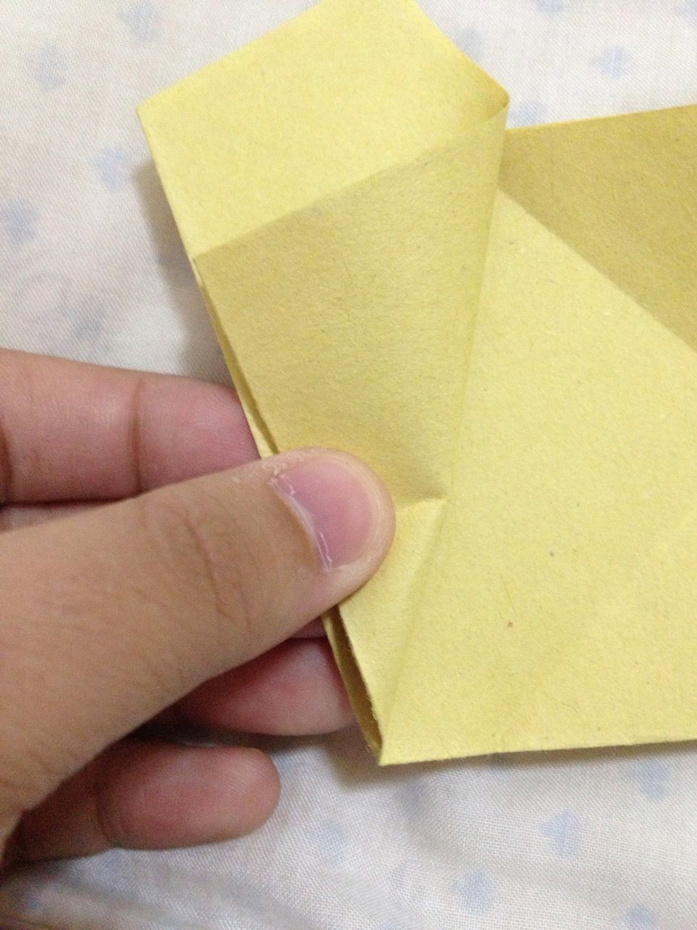 Fold the right edge to meet the left edge.