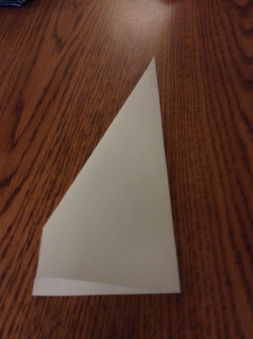 Fold the right side over on to the left side.