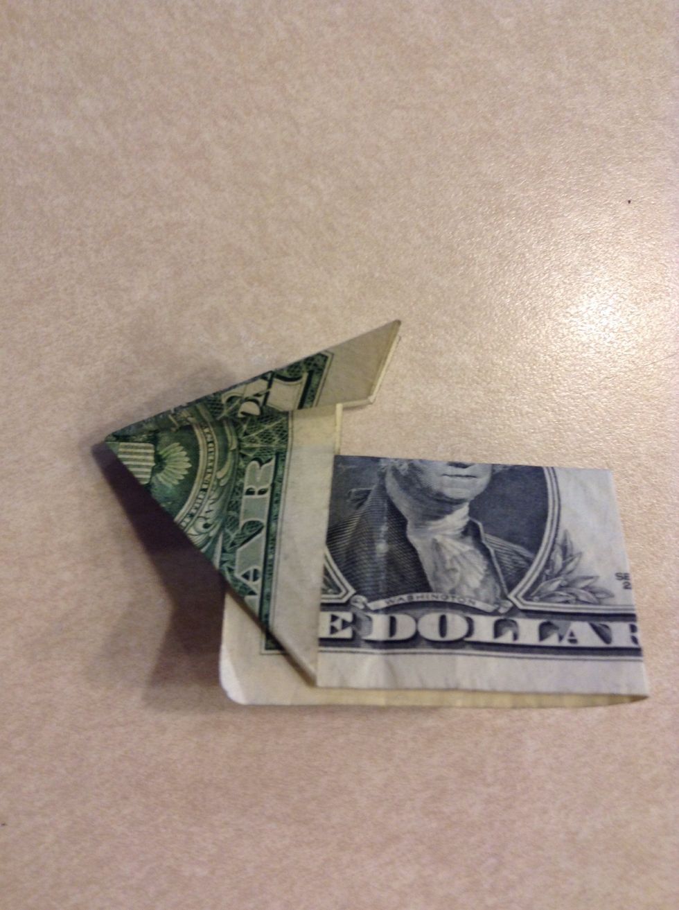 Fold the same ear up again on both sides. These will make the ears