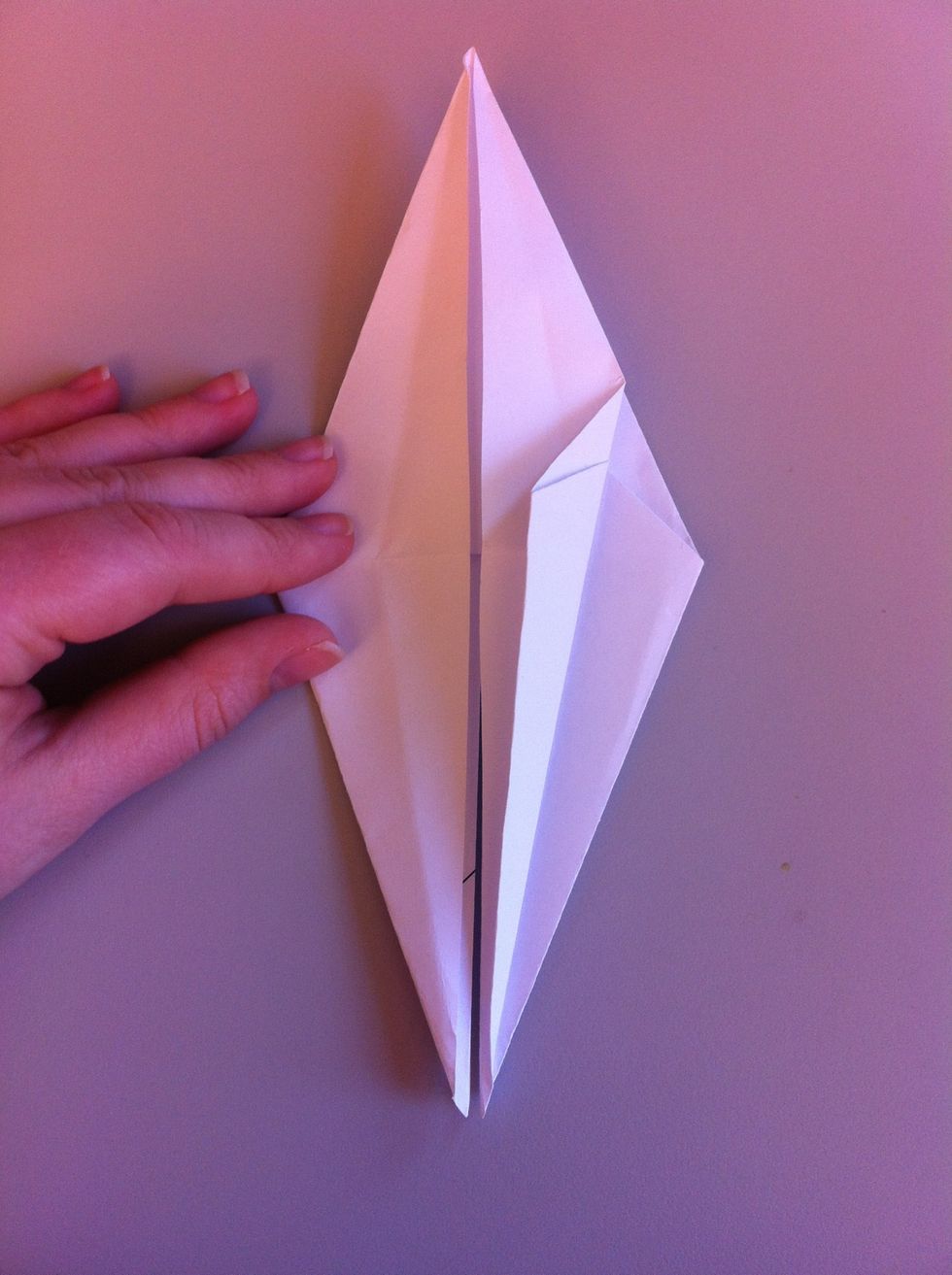 Fold the sides to the middle. Repeat on other side.