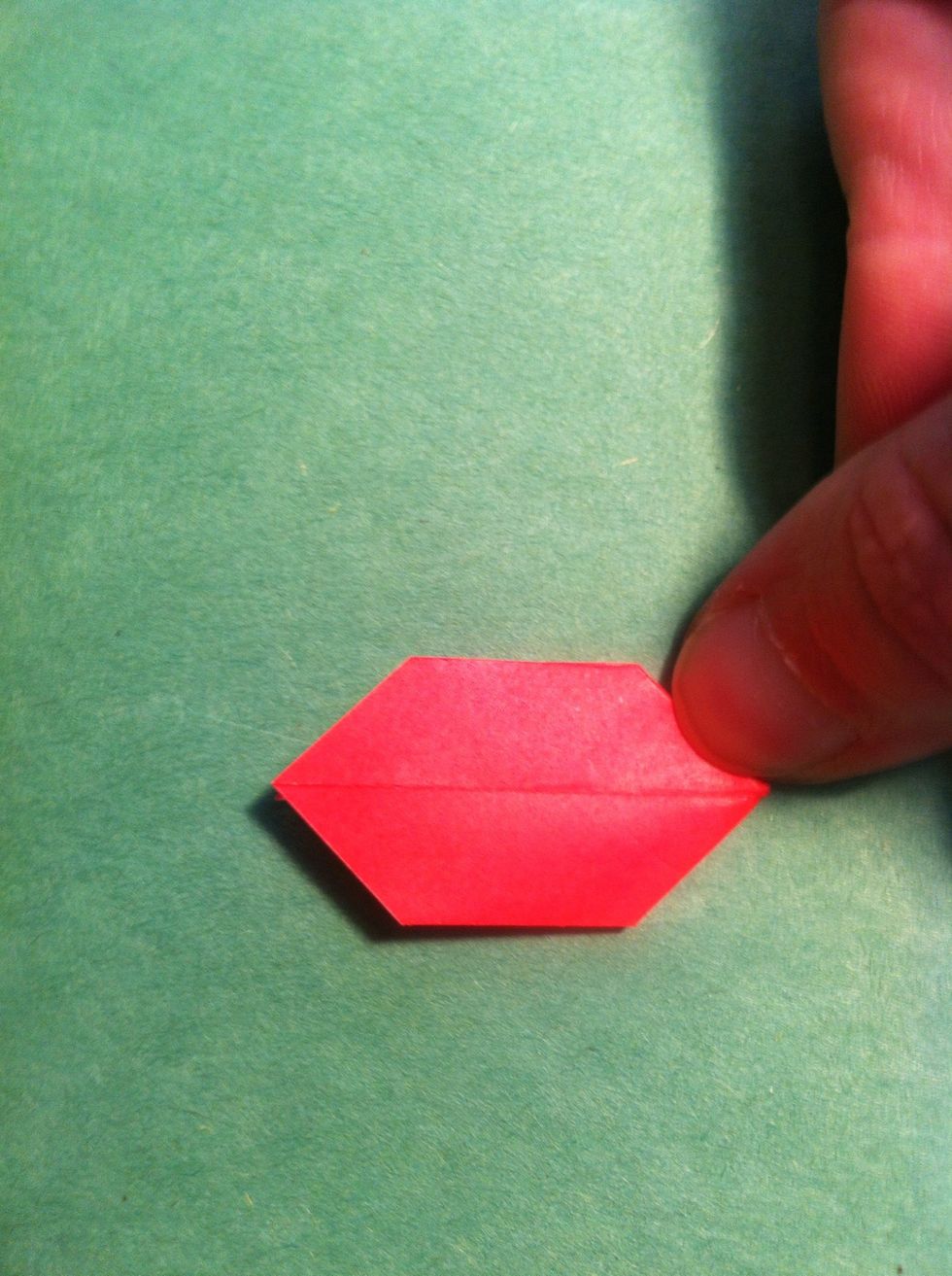 Fold the top edge to the bottom edge & repeat on the back as shown.