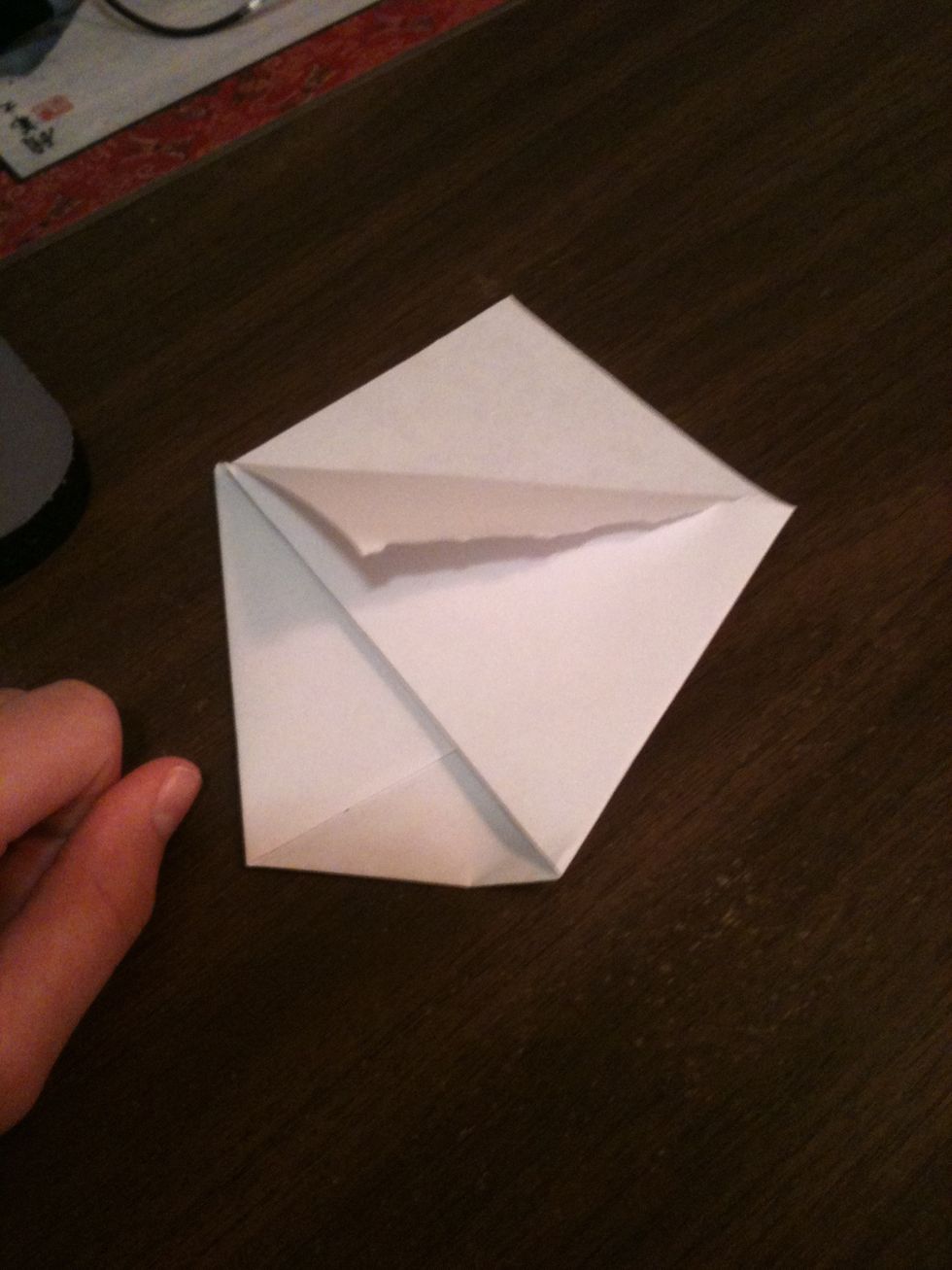 Fold the top flap down.