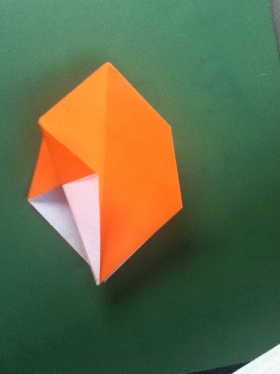 Fold the top layer of lower left edge to the center crease