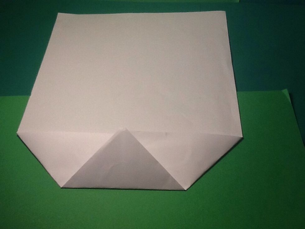 Fold the top of the newly created triangle down