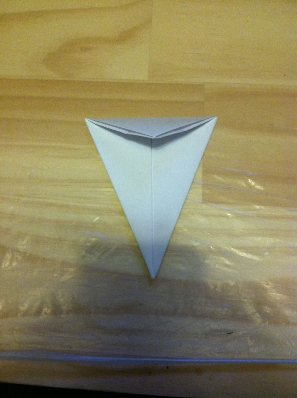 Fold the top point down along the folds from last step.