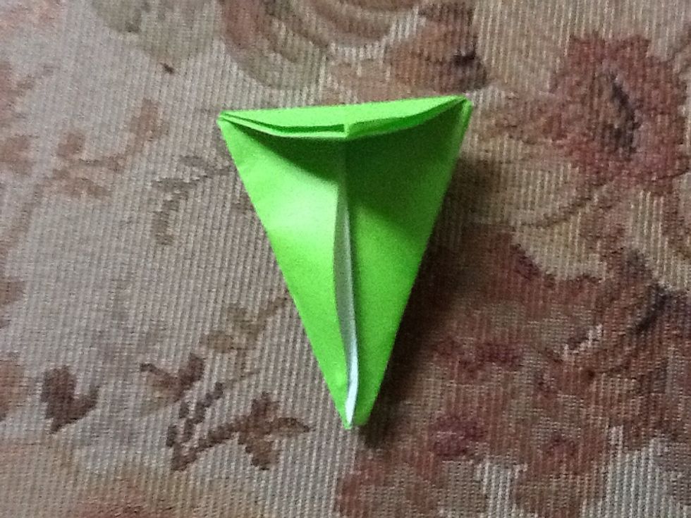 Fold the top triangle down.