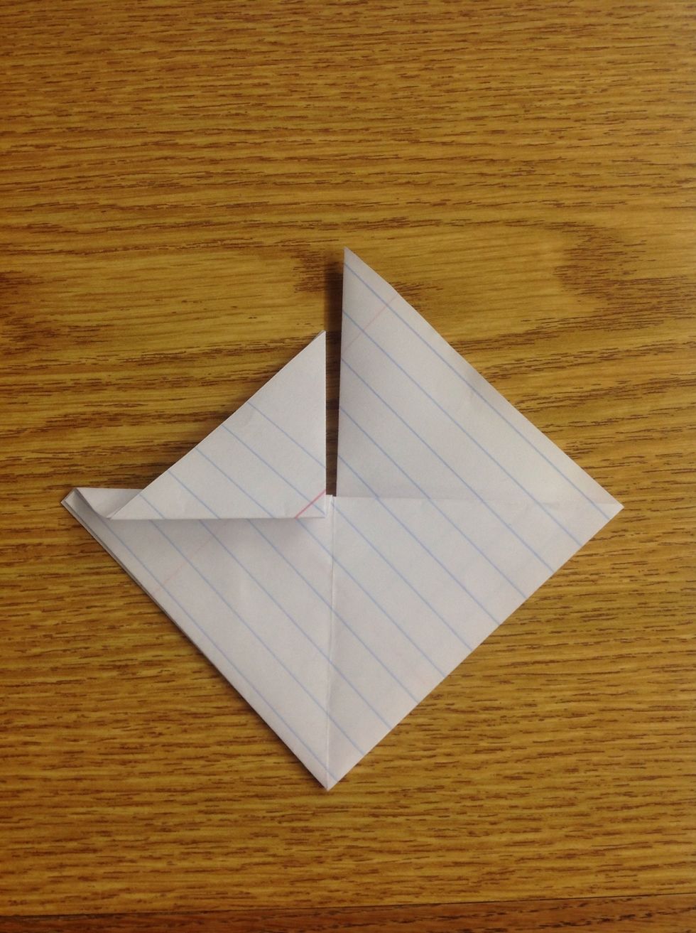 Fold the triangle back up, crease.