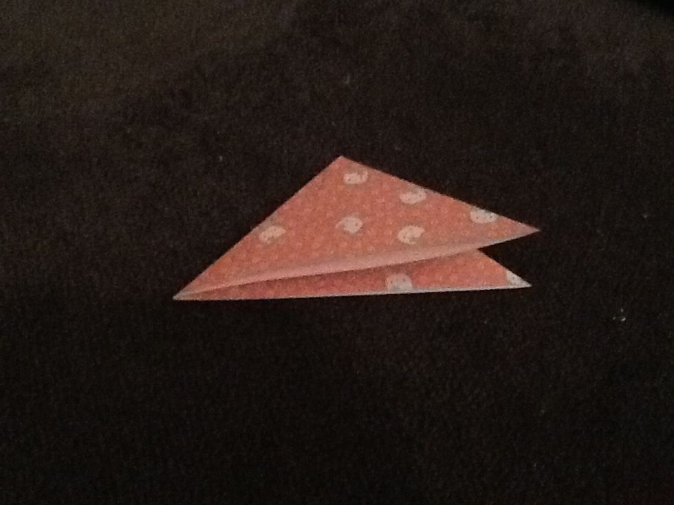 Fold the triangle in half again to make a smaller triangle