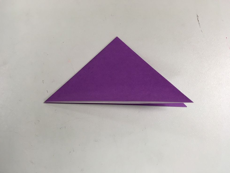 Fold the triangle in half having the left point touching the right point.
