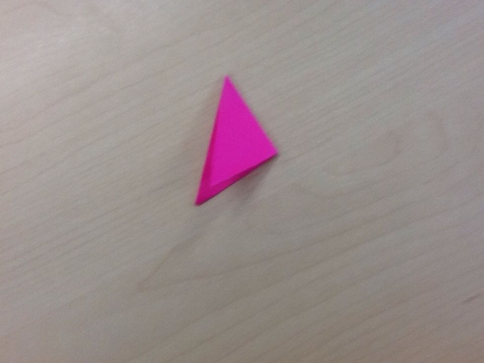 Fold the triangle in half.