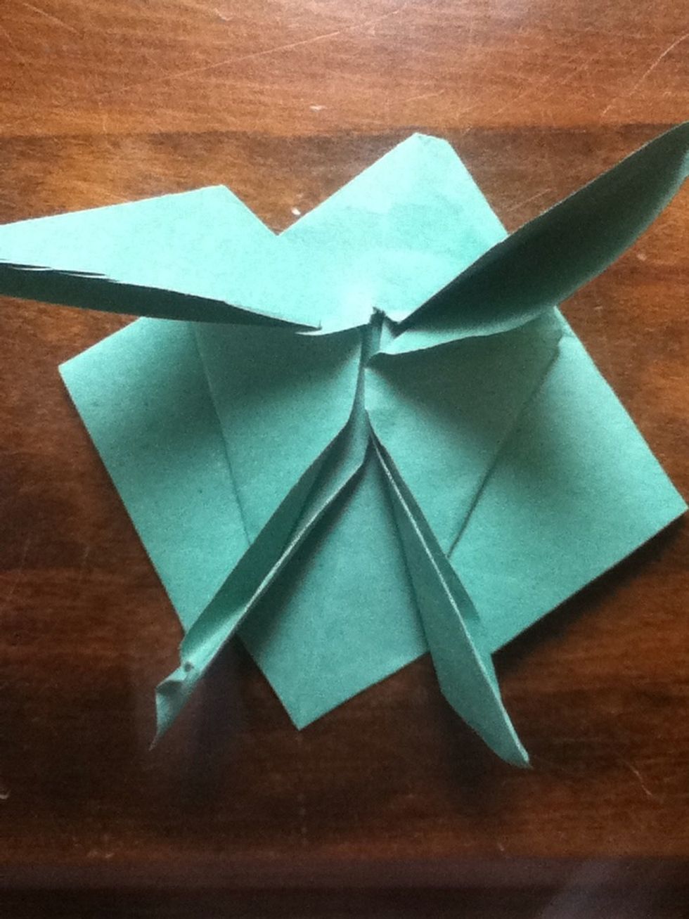 Fold the two bottom flaps away from the body.