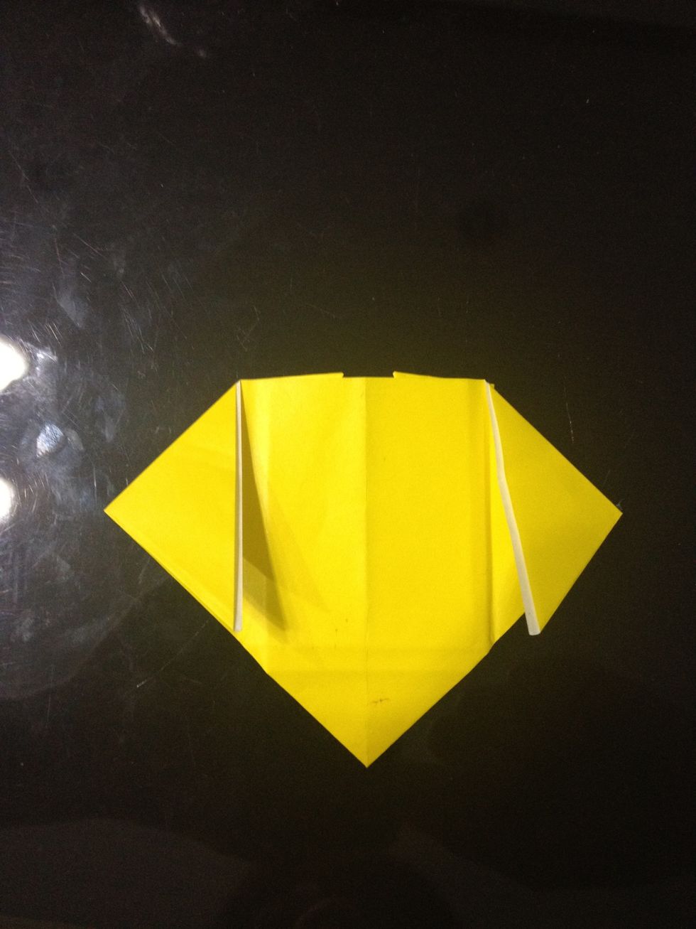 Fold the two corners down to the crease to make the ears.
