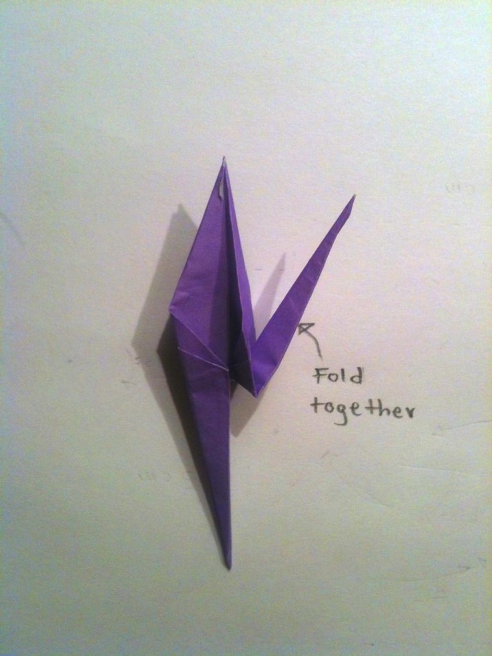 Fold the two flaps that make up the single long point together.