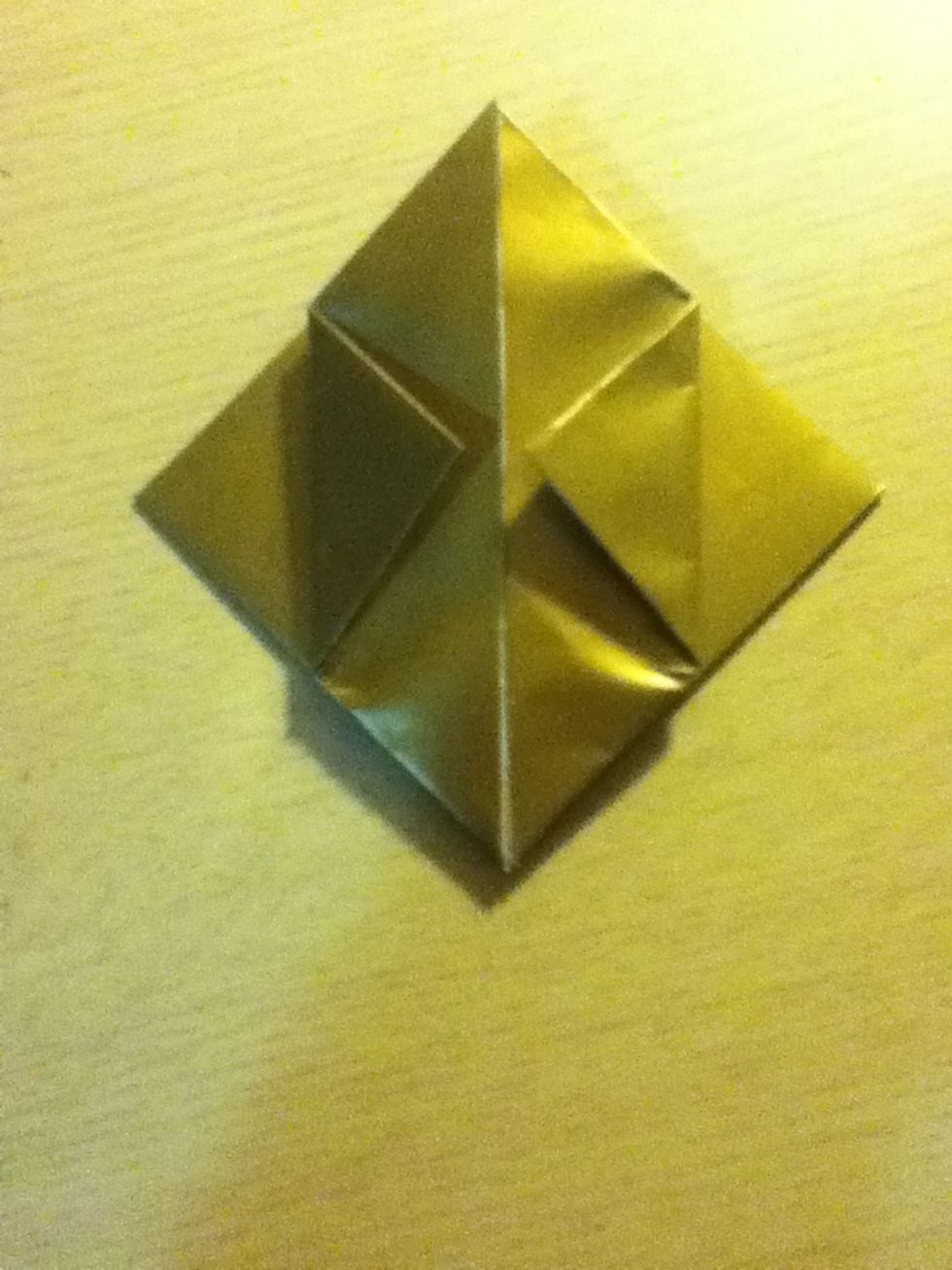 Fold the two top most layers into the middle, like so