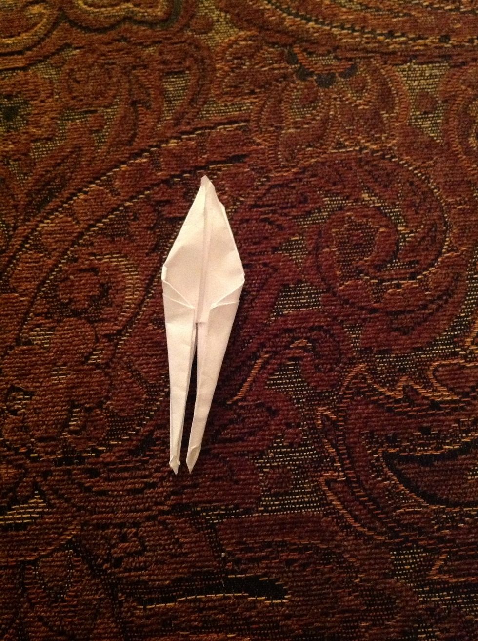 Fold those two flaps in half so they are thinner .