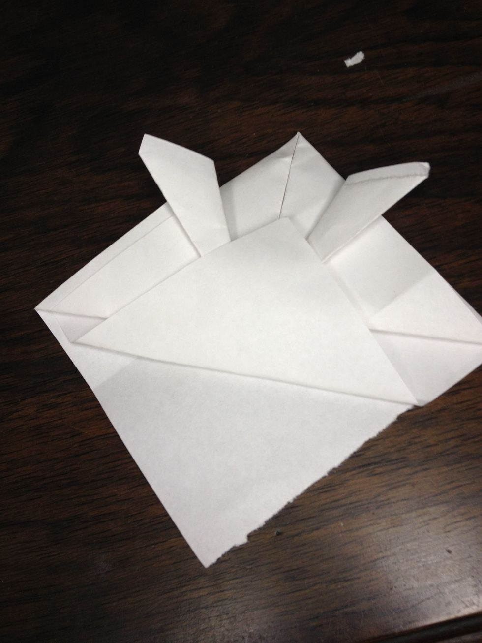 Fold to make a triangle as shown