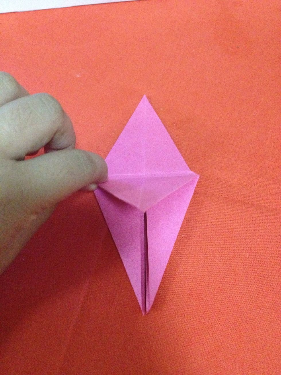 Fold top flap down.
