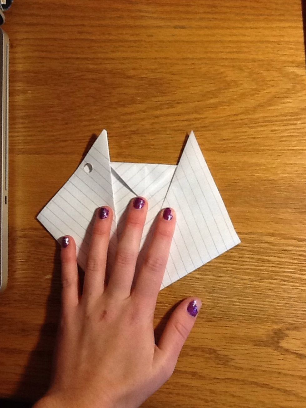 Fold top point down.