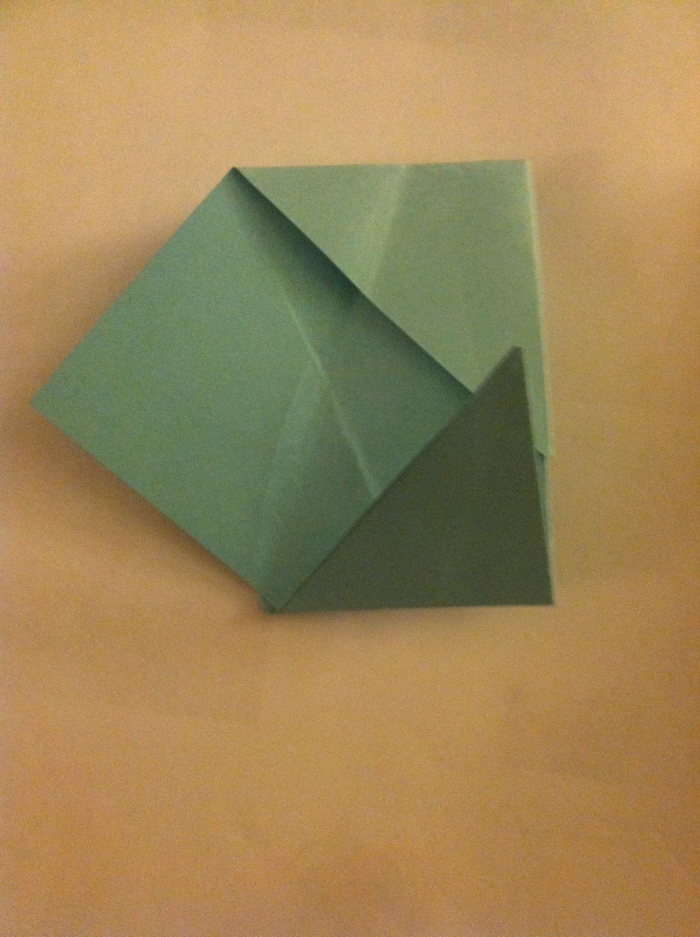 Fold up the bottom triangle.