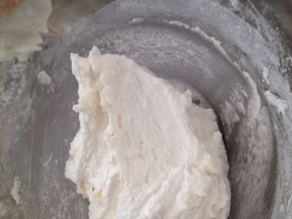 Fold using a rubber spatula until mixture is just combined.
