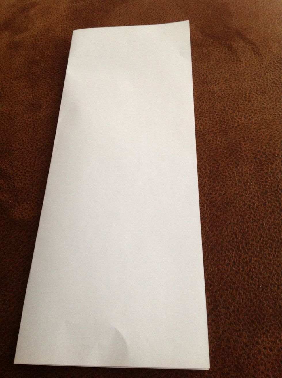 Fold your paper in half long-ways.