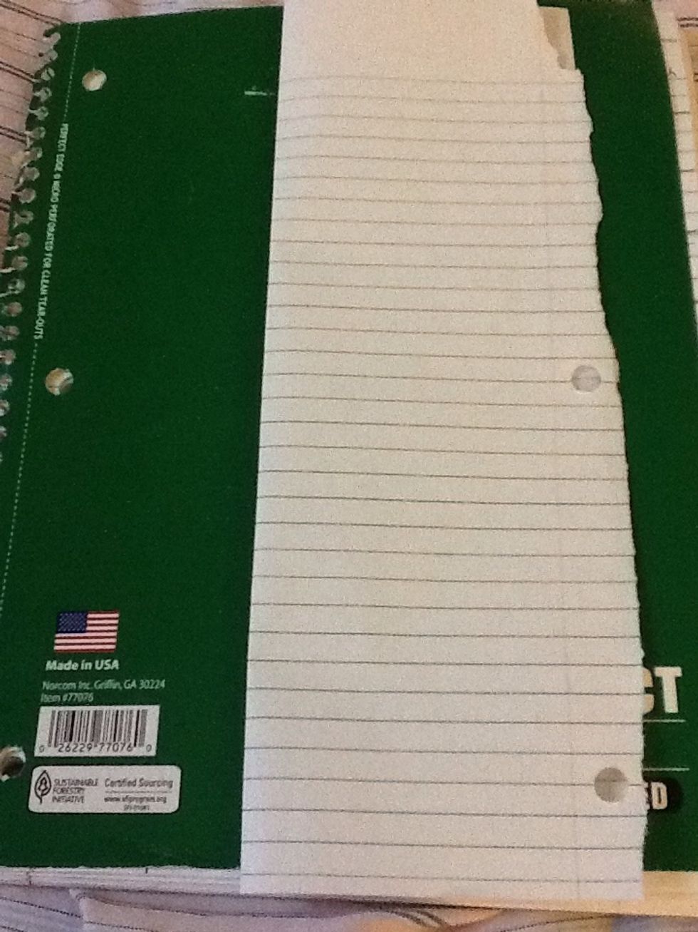 Folded the paper in half longways.