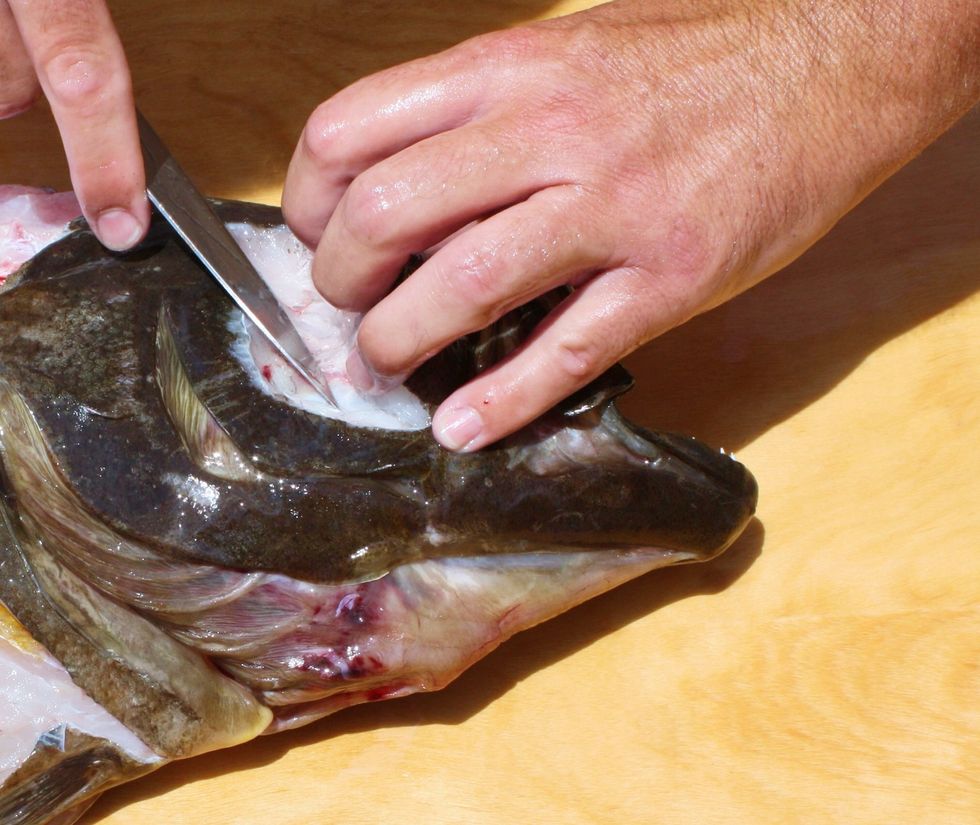 Follow the bones with the knife to remove the meat from the cheek part of the fish.