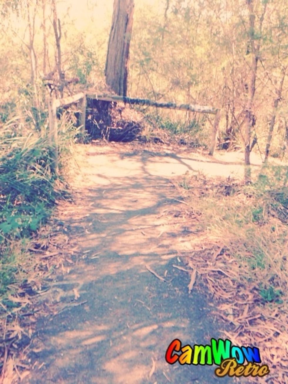 Follow the path