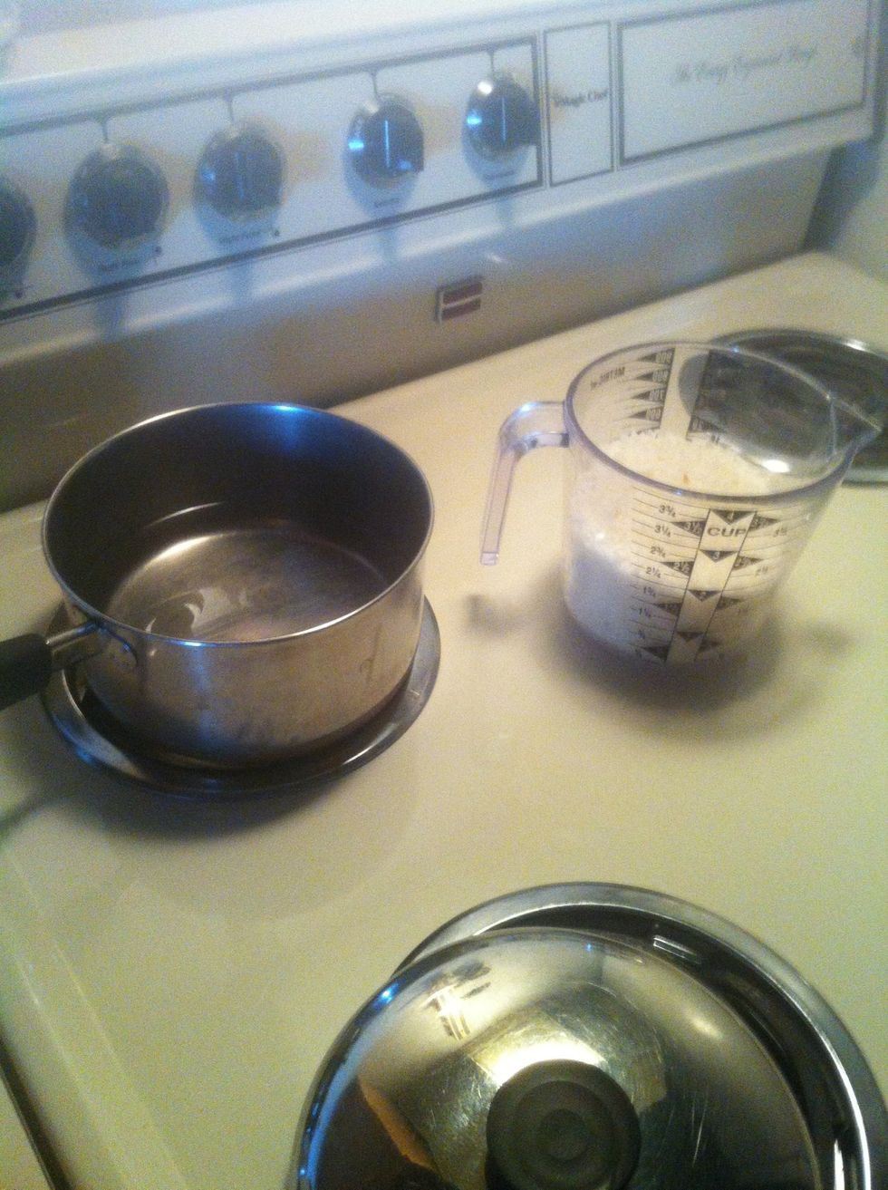 Following the directions on the "minute rice" box, prepare 2 cups of water and 2 cups of rice. DON'T do anything with them yet though!