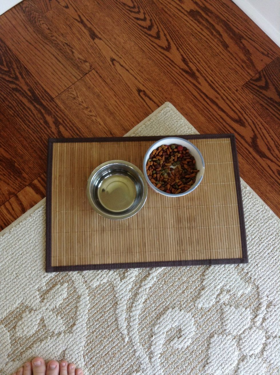 Food and water! Of course they need it! Make sure you give them food and water each day so they are hydrated and full. Get dog food that will benefit your dogs breed and size.