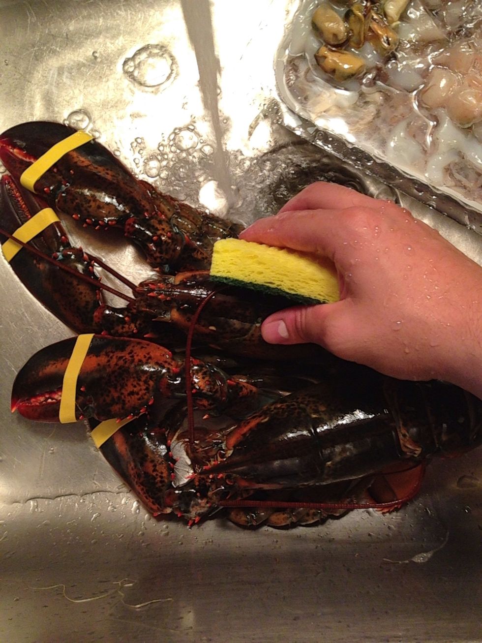 For a safe seafood eating, brush the lobster and wash them with a clean sponge, DO NOT USE THE DISH SPONGE! - do this while the seafood packages thaw out