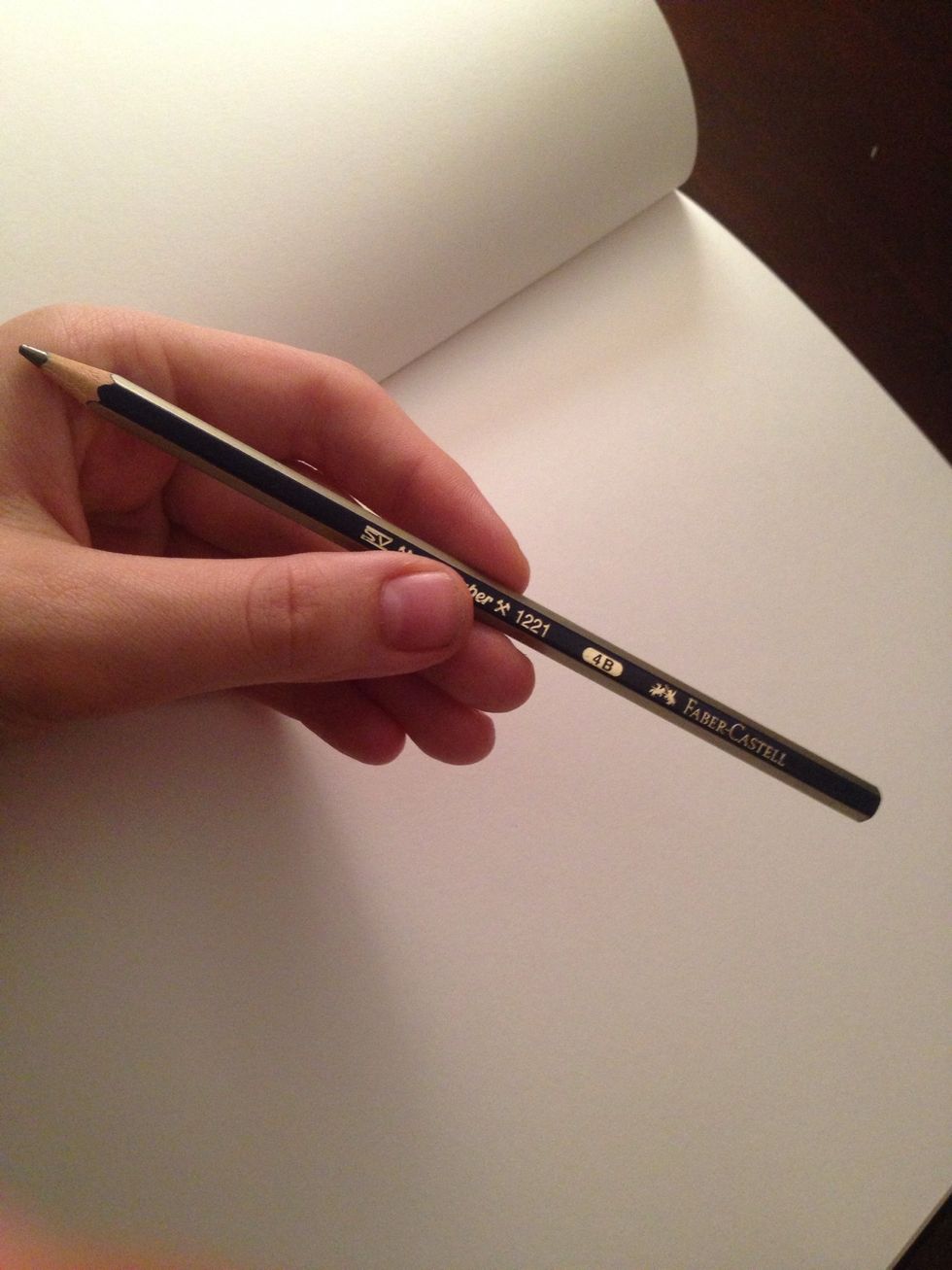 For drawing cartoons you want a dark lead pencil ( I use 4b). It's easier to manipulate and get the desired cartoon look.