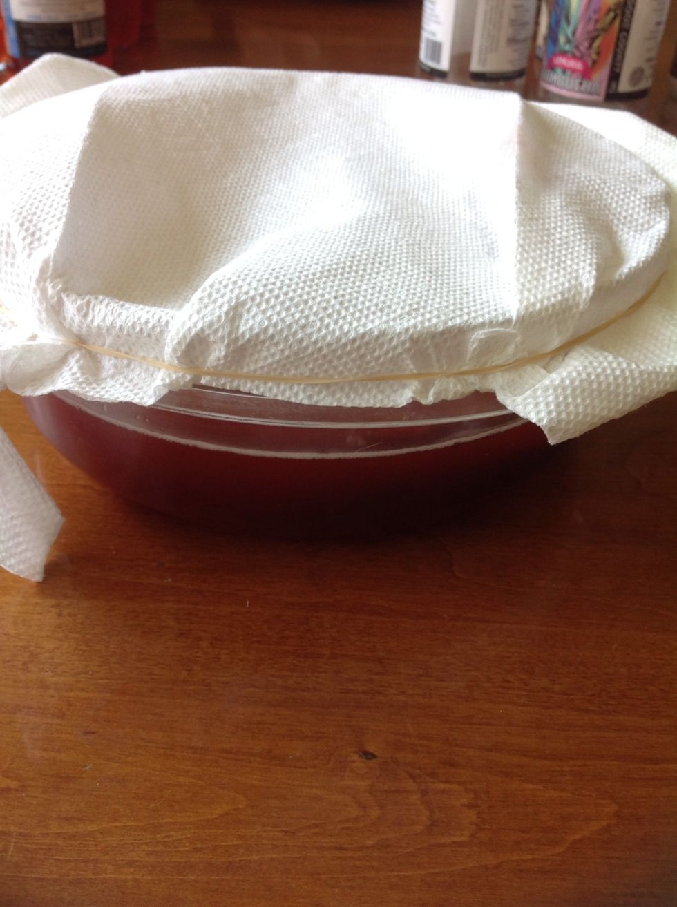 For long term storage SCOBYs can be kept in the refrigerator otherwise between batches it's fine to keep it covered at room temperature. Happy brewing!