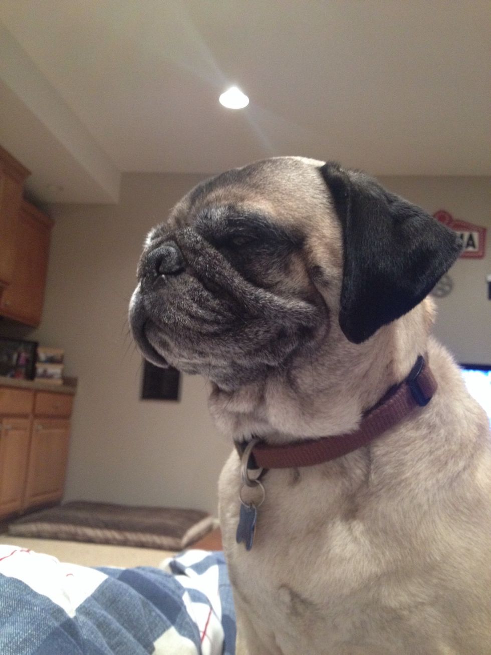 For me sometimes the smallest things bring me the largest satisfaction and happiness. I would gain more motivation off a friend or my dog Ozzie than any object or bribe to gain at the end of success.