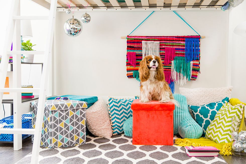 For more dorm room decorating tips + tricks, click here: https://www.brit.co/creative-director-dorm-room-makeover/