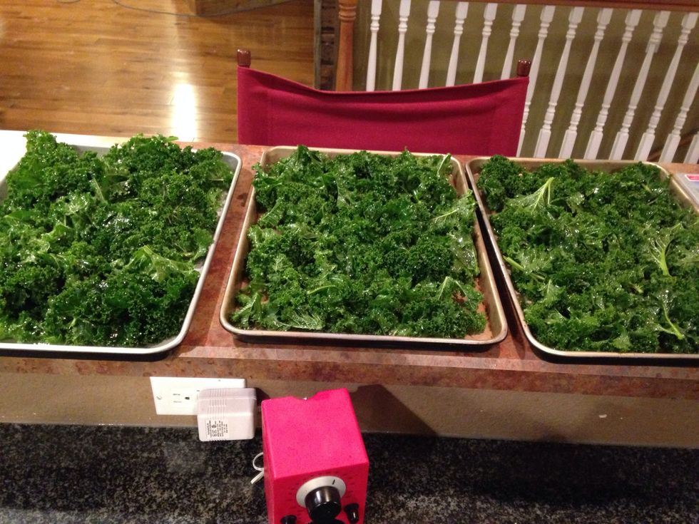 For the 2nd batch I pre mixed 1/3 cup of honey with 3 tablespoons olive oil. I poured the mix over the 2nd batch and coated it completely. I sprinkle the tray lightly with pink salt and baked.