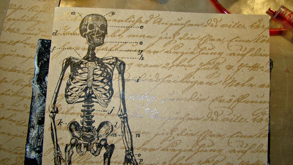 For the back drop of the canvas I chose Tim Holtz Paper Stash Halloween cardstock, cut to fit inside of the canvas.