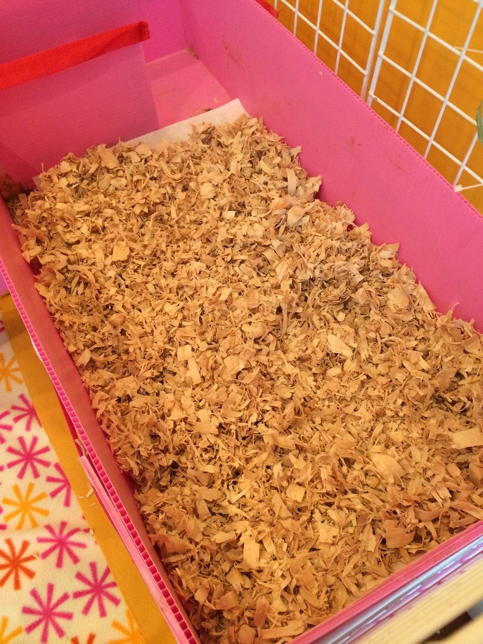 For the loft, where the food goes, use aspen or Carefresh bedding. You need to change this weekly, and wash the fleece weekly also. Fleece needs to be swept off every other day.