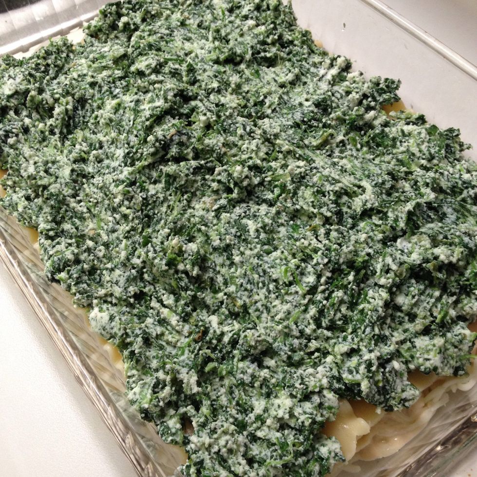 For the next layer, add spinach and ricotta mixture. Spread evenly. (Use all, as this is the only layer with the spinach mixture)