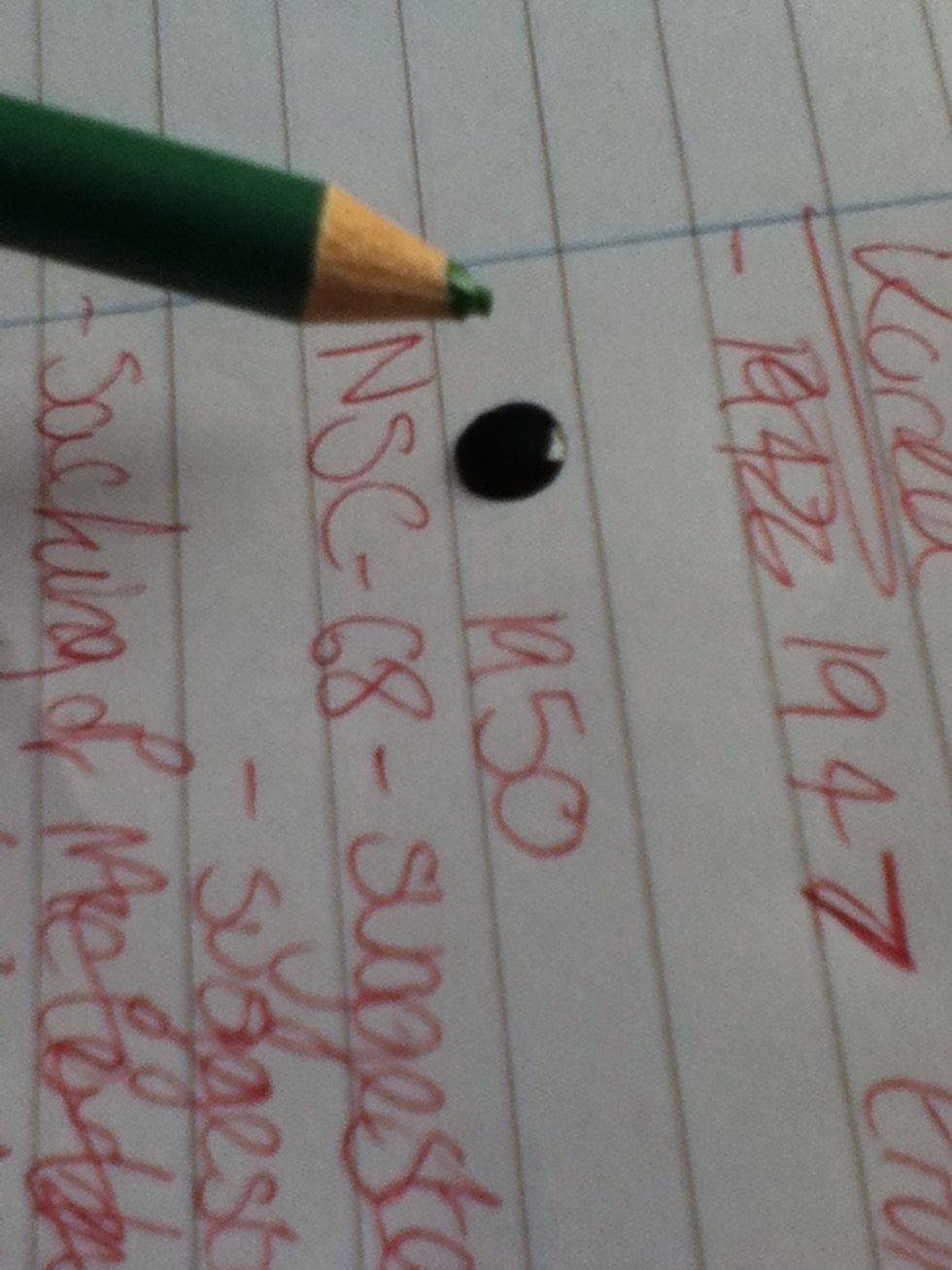 For the next steps you will need a thin brush or I used a pencil and put a blob of varnish on some paper (I used my history revision to celebrate finishing the test!)