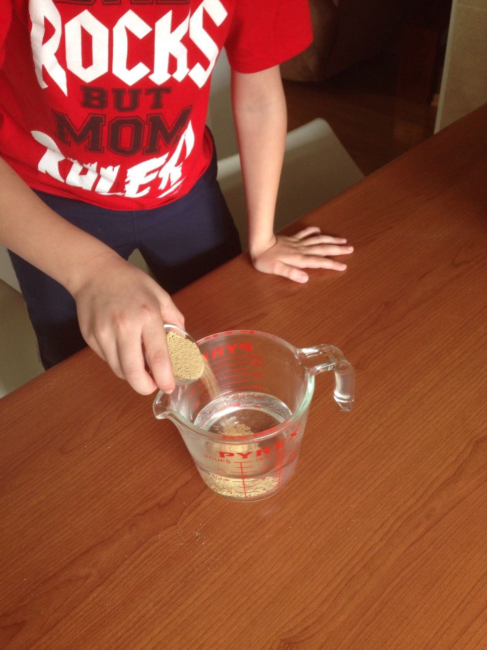 For the starter, mix 1 Tbs yeast in 1 1/8 c warm water