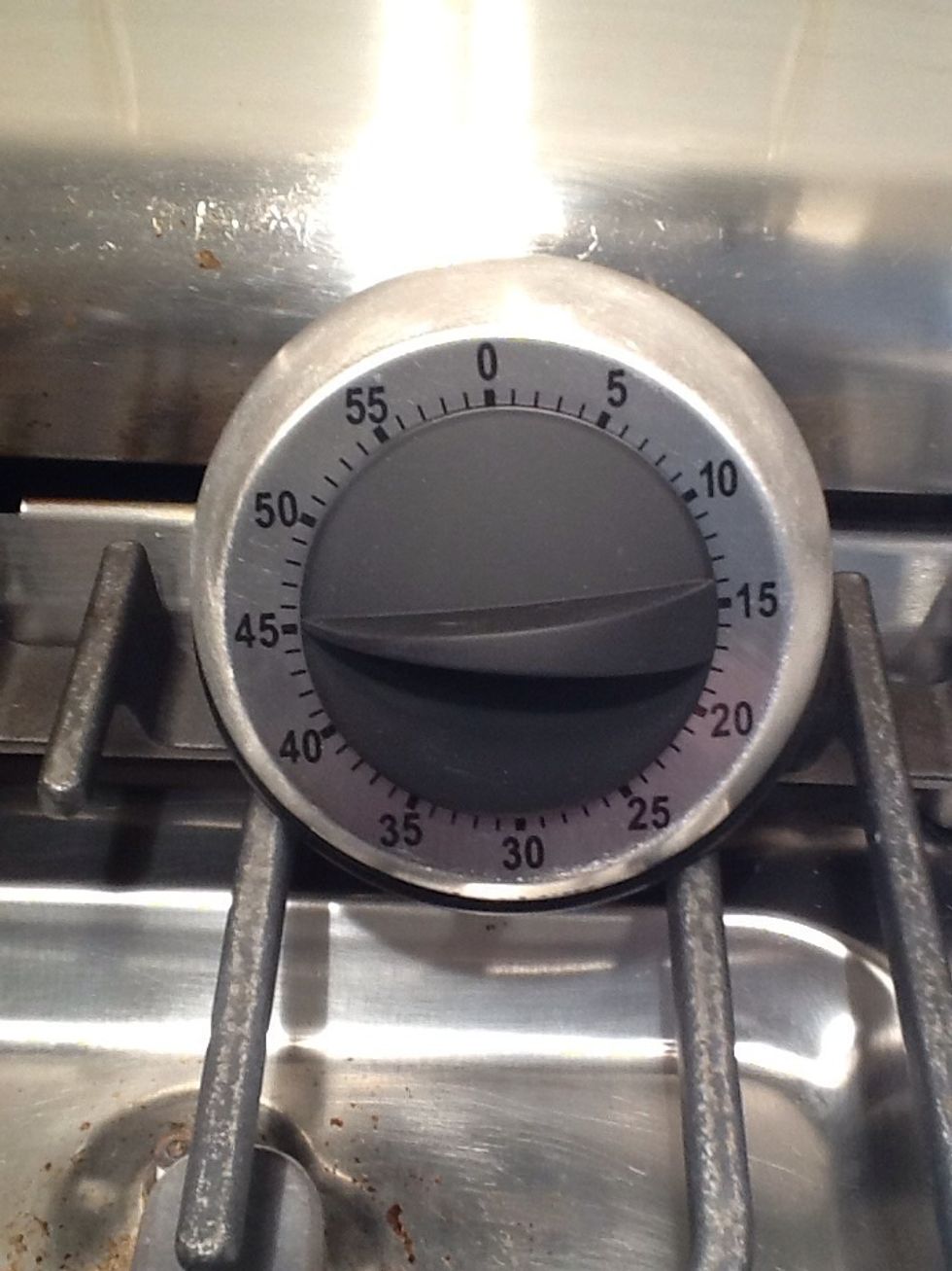 For this rise, let it sit for an hour , no matter what this timer says. The dough was cold, after all.