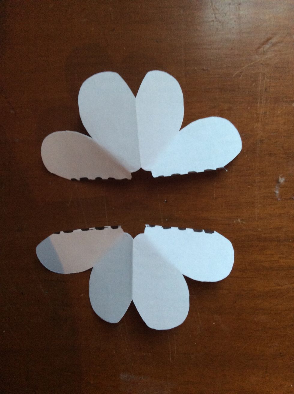 Fourth flower