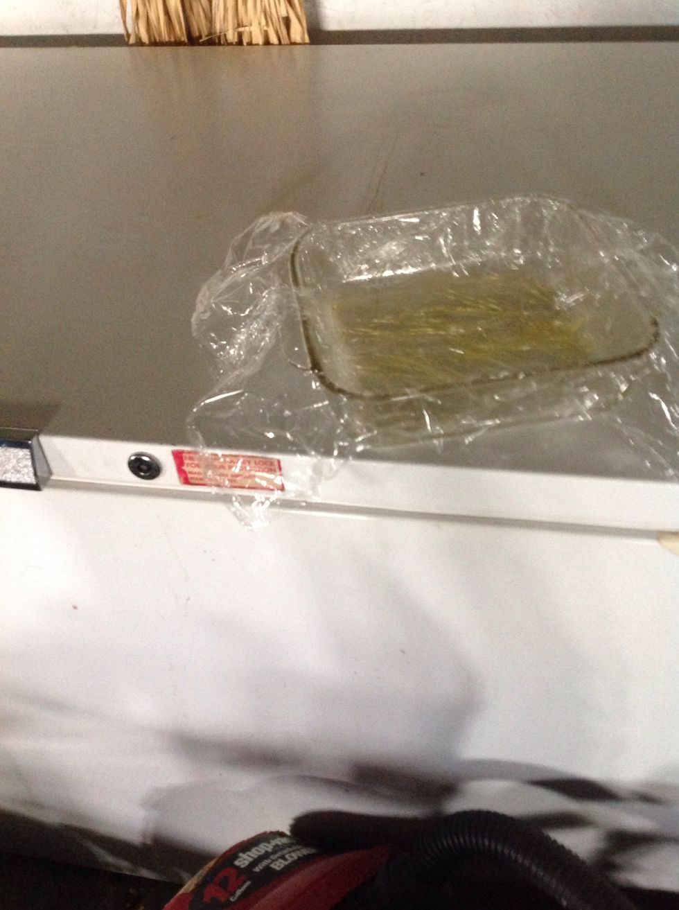 Freeze pan for at-least 10 minutes.