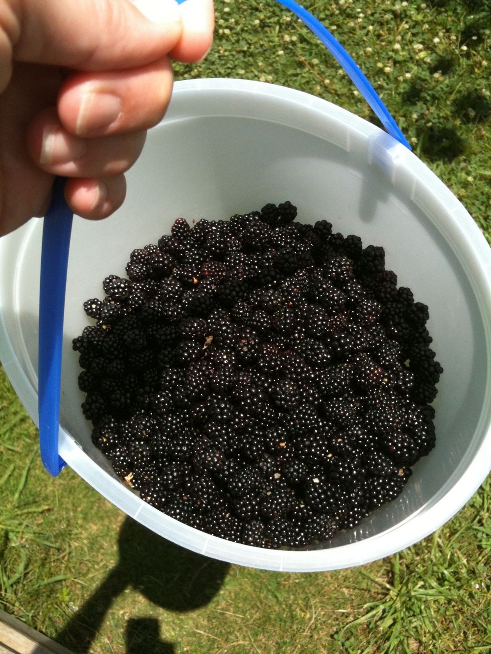 Fresh blackberries work best ! They're organic and have a different flavor than cultivated berries  2.5 to 3 cups are needed for pie