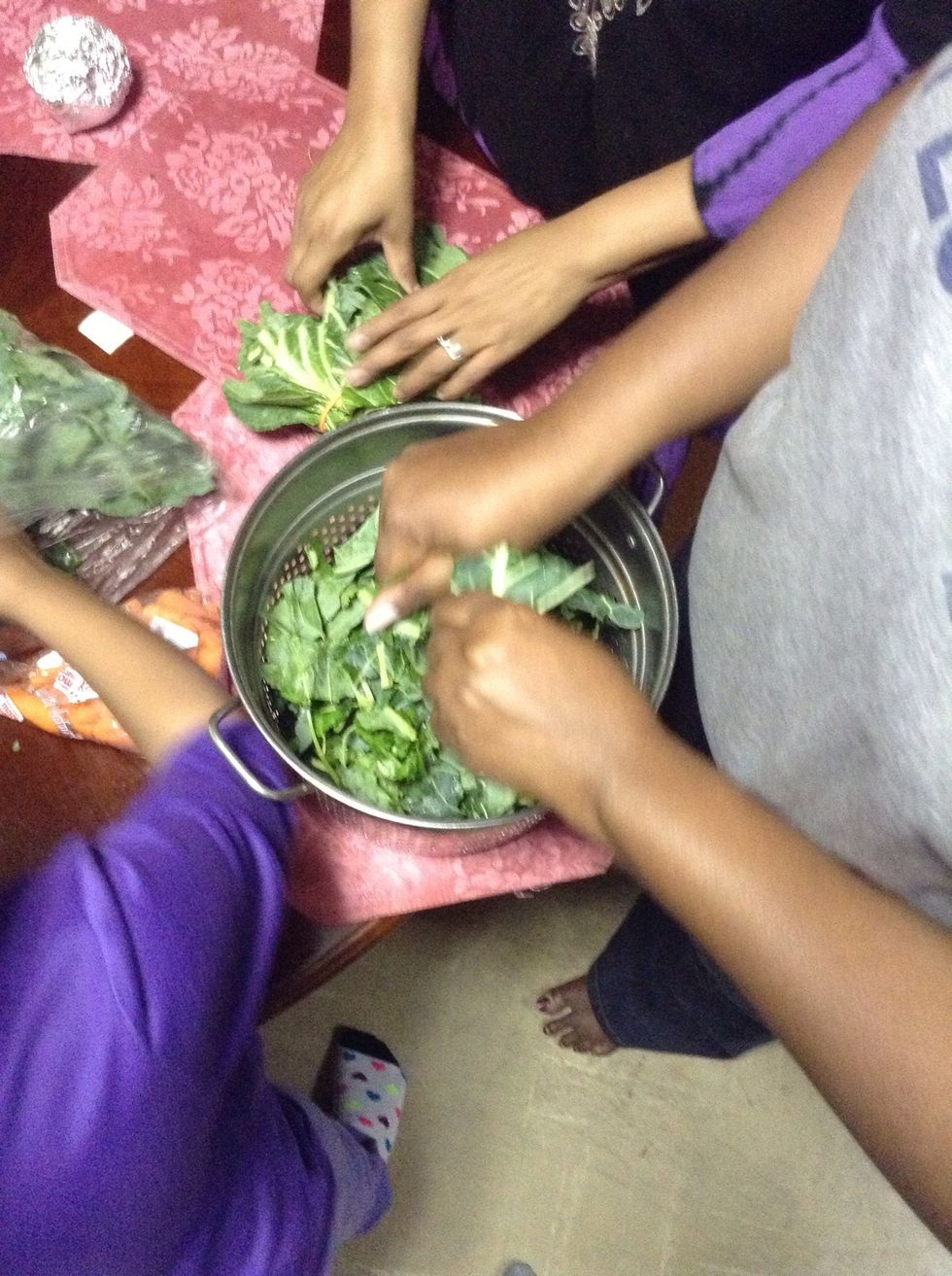 Fresh collards! Two bunches. We place in strainer, to prepare to wash