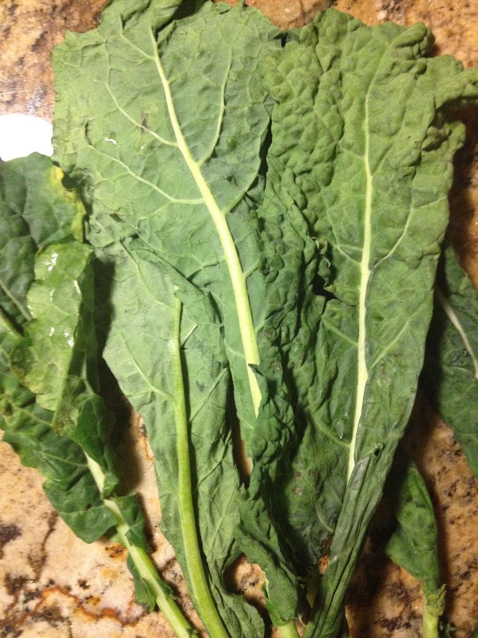 Fresh kale