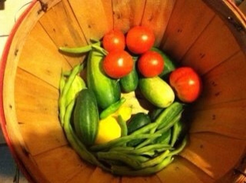 Fresh produce from the backyard.