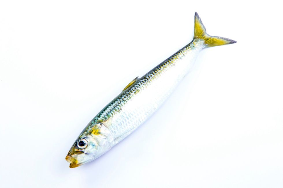 How to scale and clean sardines B+C Guides