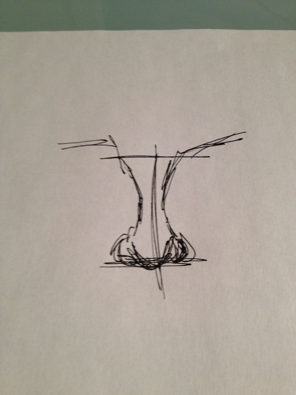 From here, fill out nostrils and eye guidelines